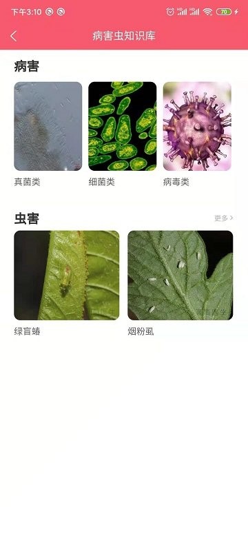 樱桃医生app