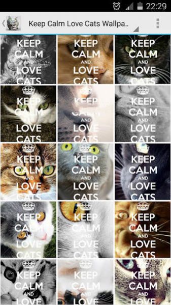 保持冷静爱猫壁纸图片APP手机版（Keep Calm Love Cats Wallpapers ）