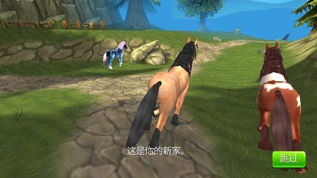 马儿天堂(Horse Paradise)