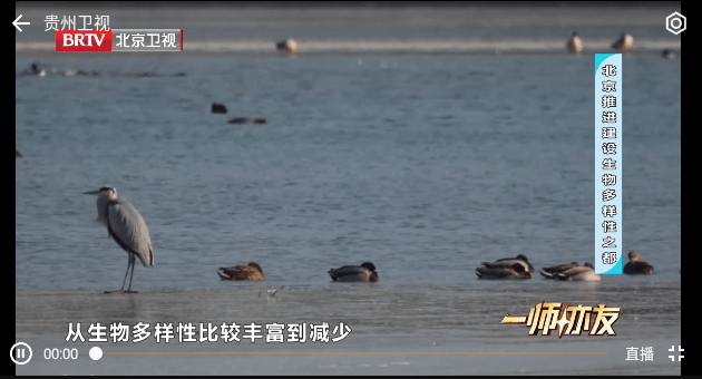 小电视TV版