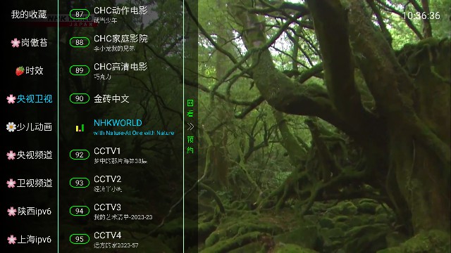 老王TV