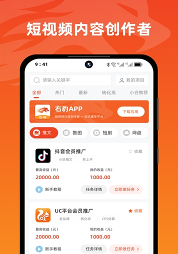 右豹