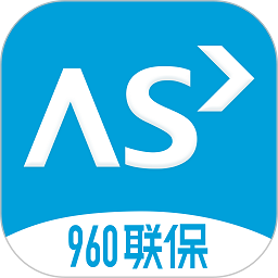960联保app