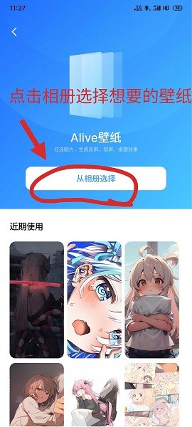 Alive壁纸