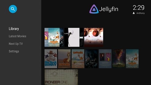 Jellyfin电视版