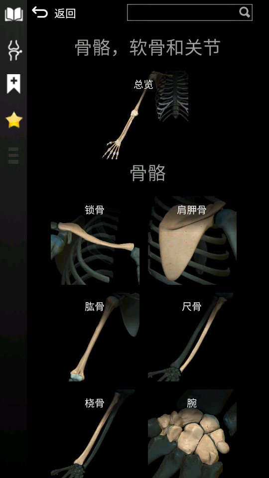 3d解剖学