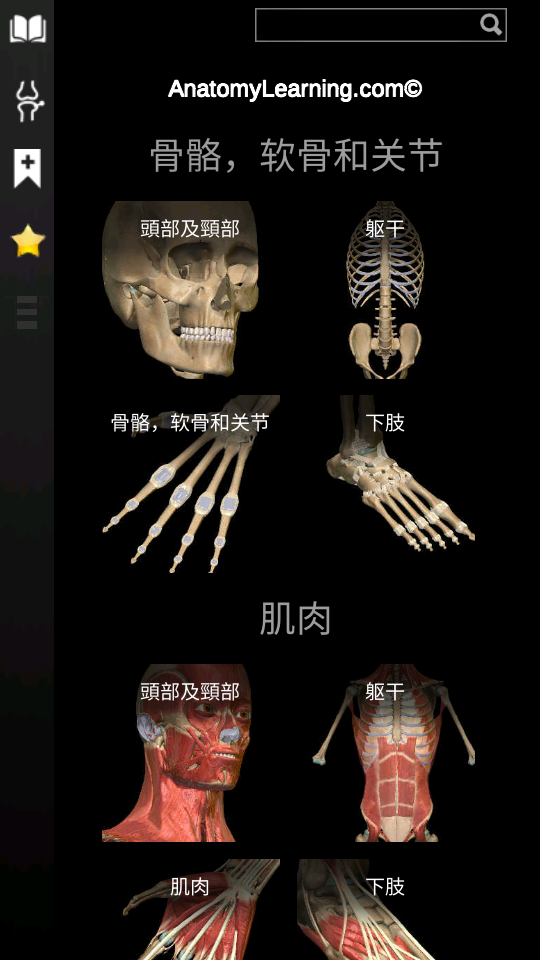 3d解剖学